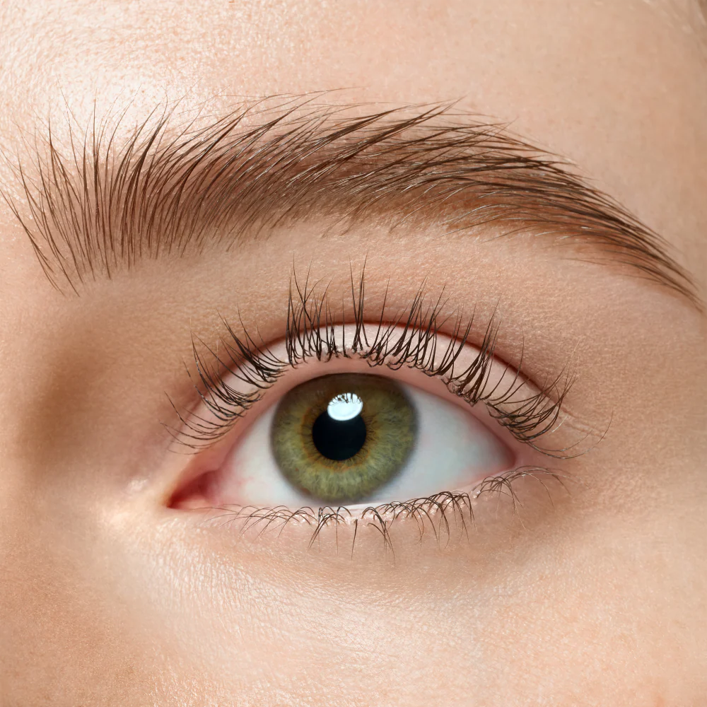 brow powder duo set - Image 4