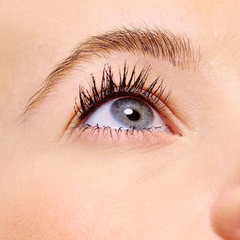 Lash Princess False Lash Effect Mascara Black Brown - Image 3